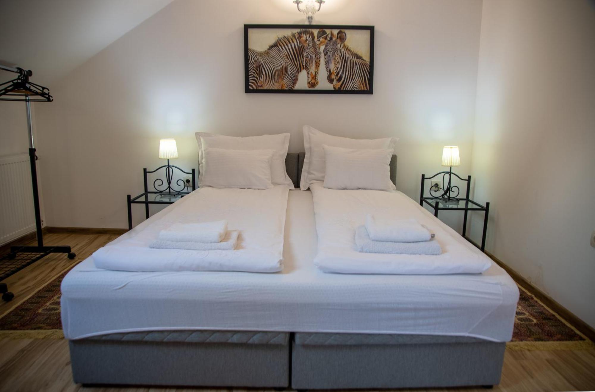 Apartman Centar Sremski Karlovci Esterno foto